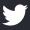 twitter-icon